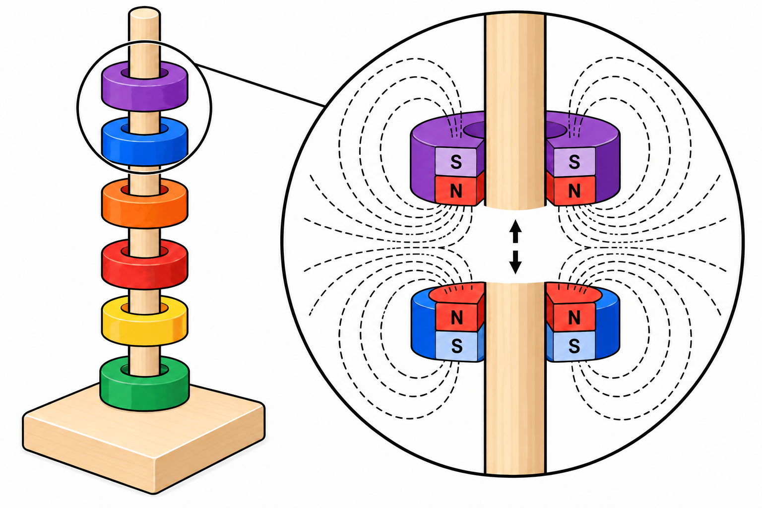 Close-up of two ring magnets on the dowel with their north poles facing each other; the dashed magnetic field lines push against each other and keep a gap between the rings